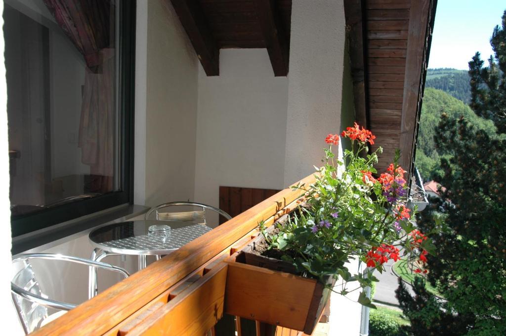 Pension Haus Diefenbach Heimbach Rum bild